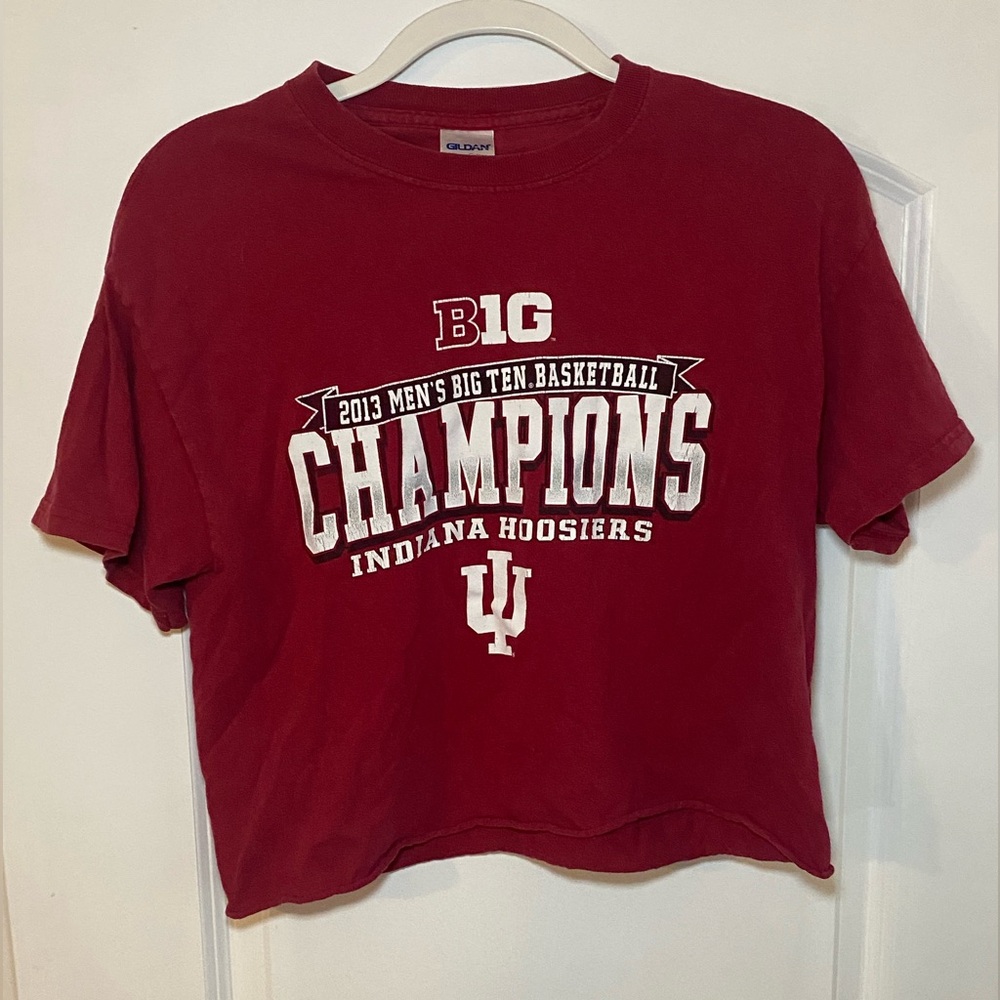 Vintage Indana university, men’s Big 10 cropped red T-shirt, size medium